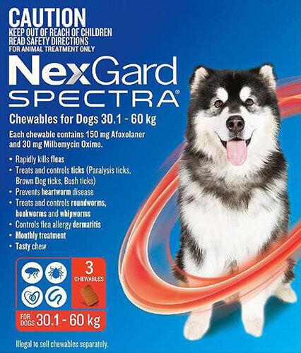 Nexgard Spectra extra large dogs 30-60 kg