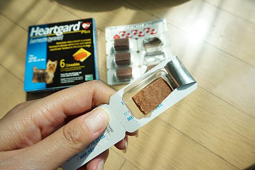 heartgard review wrapping