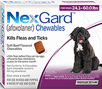 Nexgard medium dogs 10-25 kg
