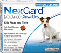 Nexgard small dogs 4-10 kg