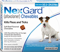 bekymre Ændringer fra skøn Nexgard - Flea Protection for Dogs - TicknFlea.com