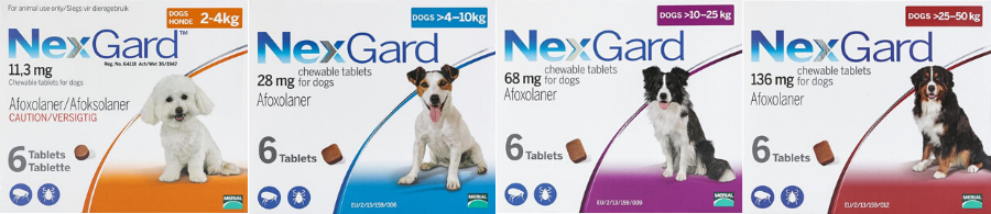 nexgard for dogs banner